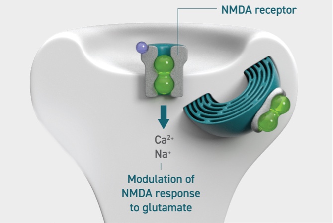 Image of Dextromethorphan to NMDA receptor antagonism